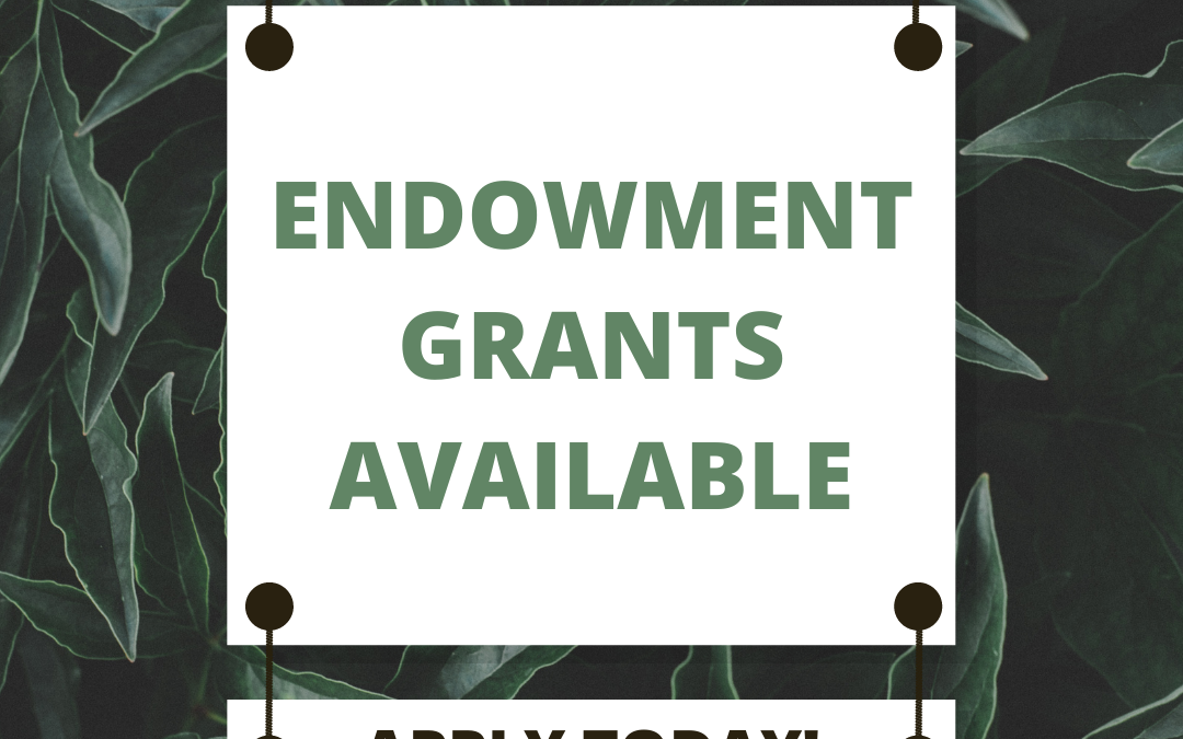 Endowment Grant Applications 2022