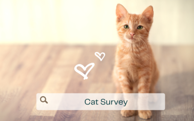 Cat Survey