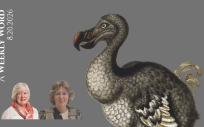 How Not to Be a Dodo