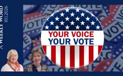 What’s Your Voting Plan?
