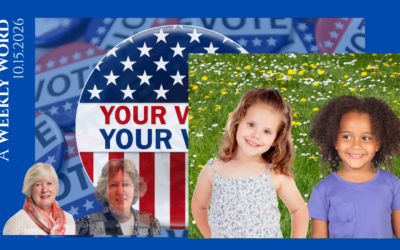 A Voting Plan Check-In. Plus Beauty